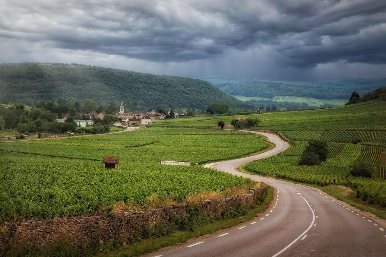 écotourisme en France : découvrez les meilleures destinations durables découvrez l'écotourisme en france : explorez des destinations durables, vivez des expériences respectueuses de l'environnement et profitez de la nature préservée à travers des activités responsables.