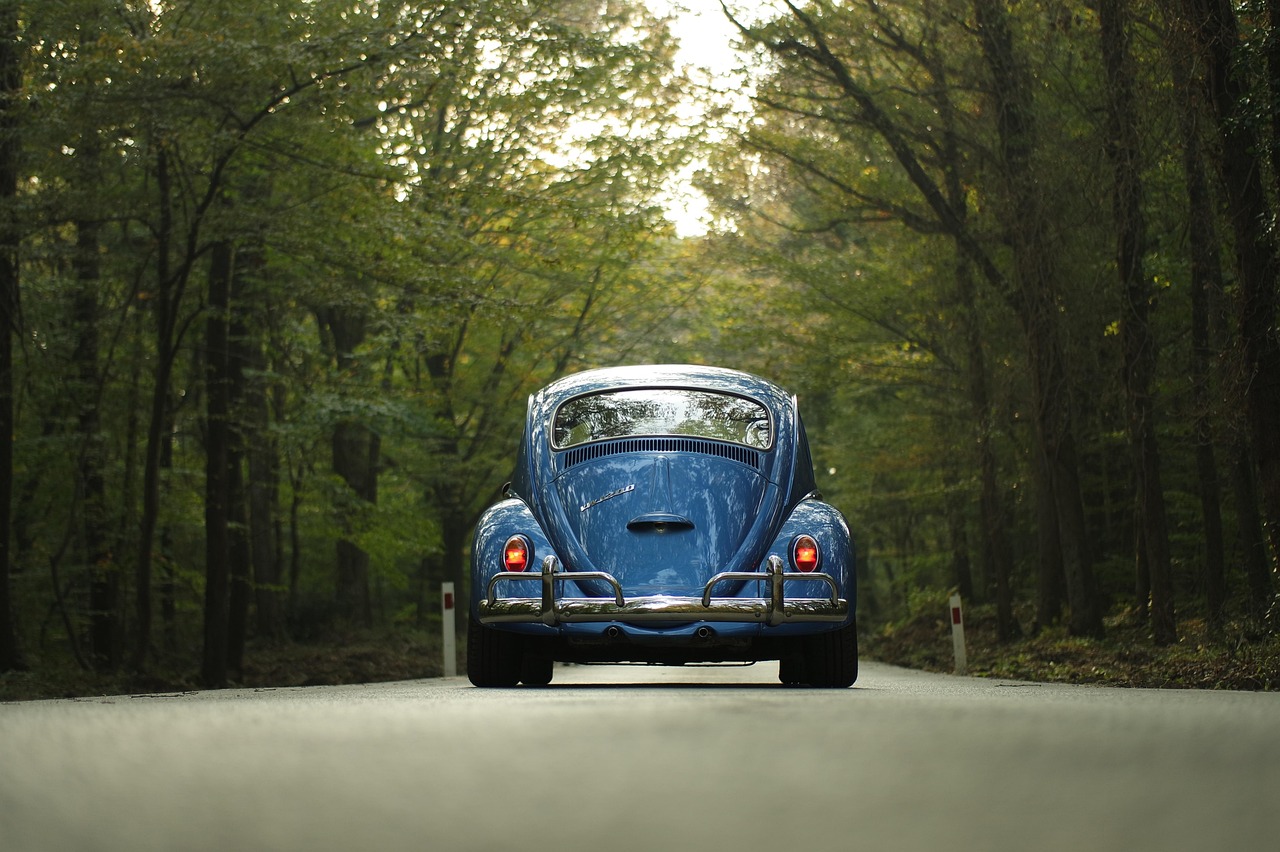 road trip famille en france : nos conseils pour un voyage réussi