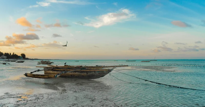 Comment se rendre à Stone Town depuis l’aéroport et les plages