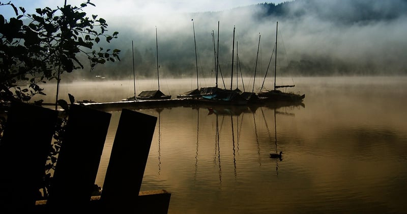 Titisee-Neustadt : le guide complet pour un séjour réussi au bord du lac