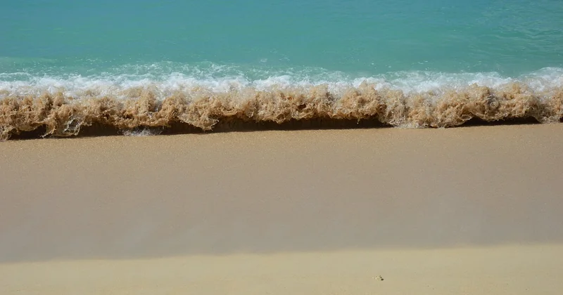 Grande-Terre, Basse-Terre, Marie-Galante : où se trouvent les hôtels tout compris ?