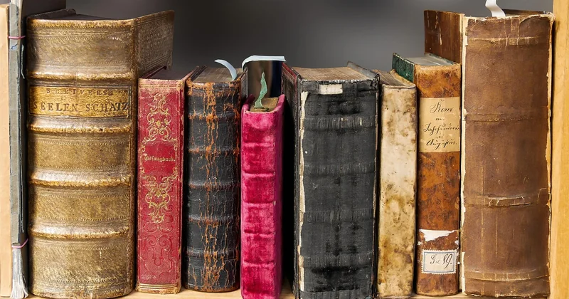 Rigide ou souple : quelle matière pour une valise rose ?