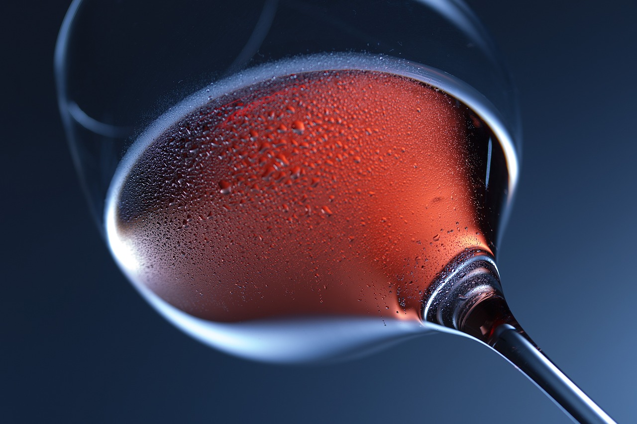 découvrir la route des vins en France : un voyage œnologique incontournable