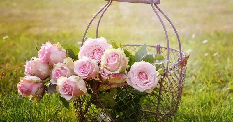 Quelles teintes de rose pour quelle valise ?