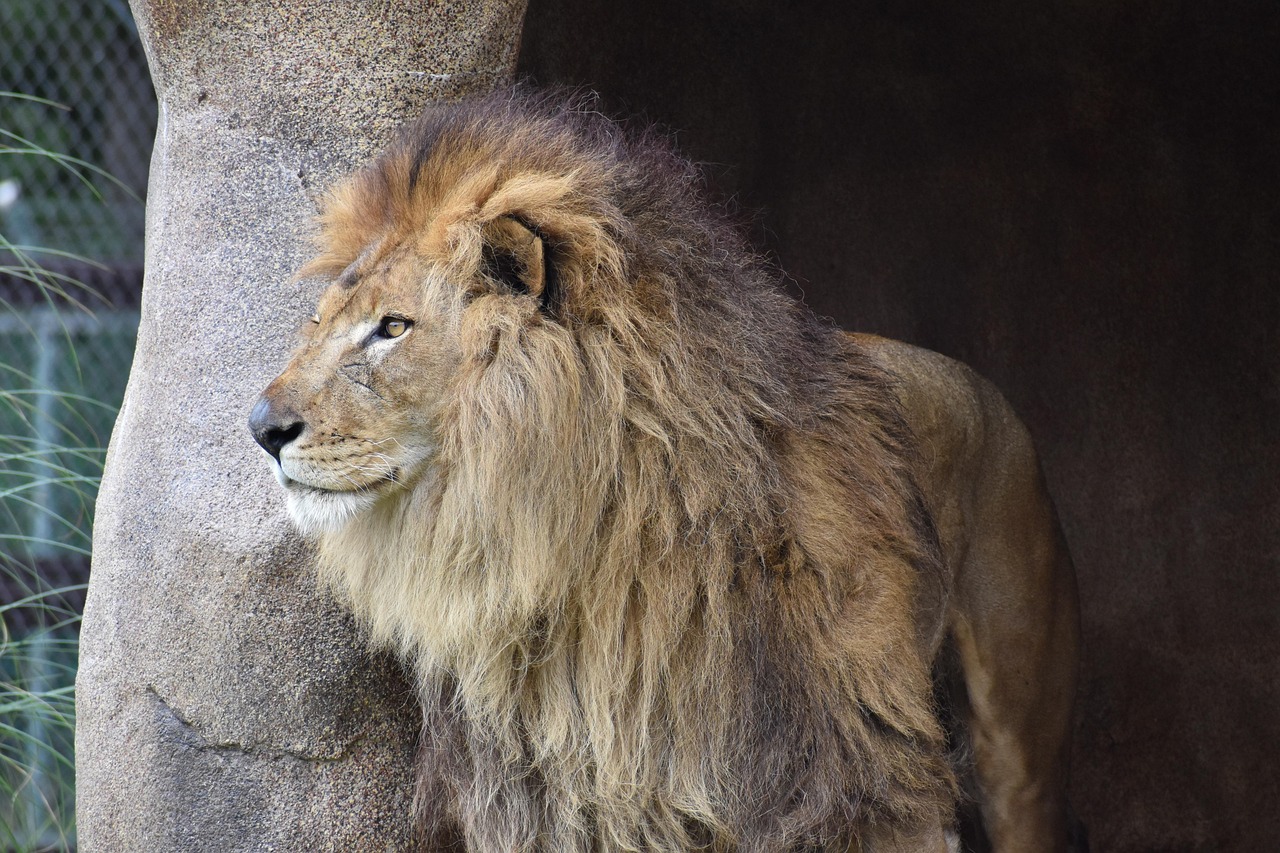 découvrez des séjours uniques en pleine nature pour une expérience authentique et ressourçante.