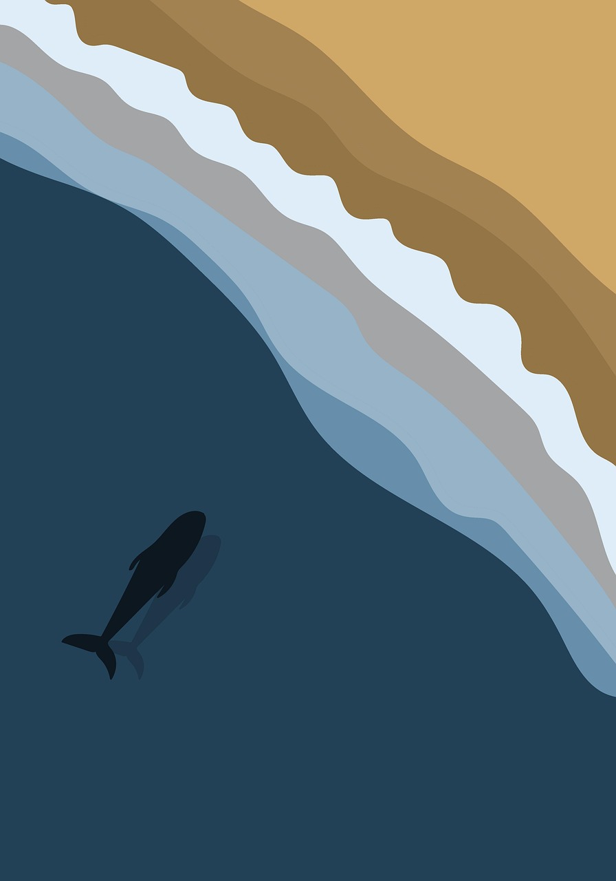 d&eacute;couvrez l'incroyable exp&eacute;rience de nager avec les requins-baleines aux philippines, une aventure unique pour explorer la vie marine dans un cadre naturel &eacute;poustouflant.